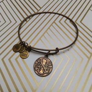 Alex & Ani Path of Life bracelet Strength Motivation Knowledge